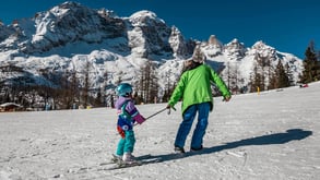 blog-ss-family-alpy