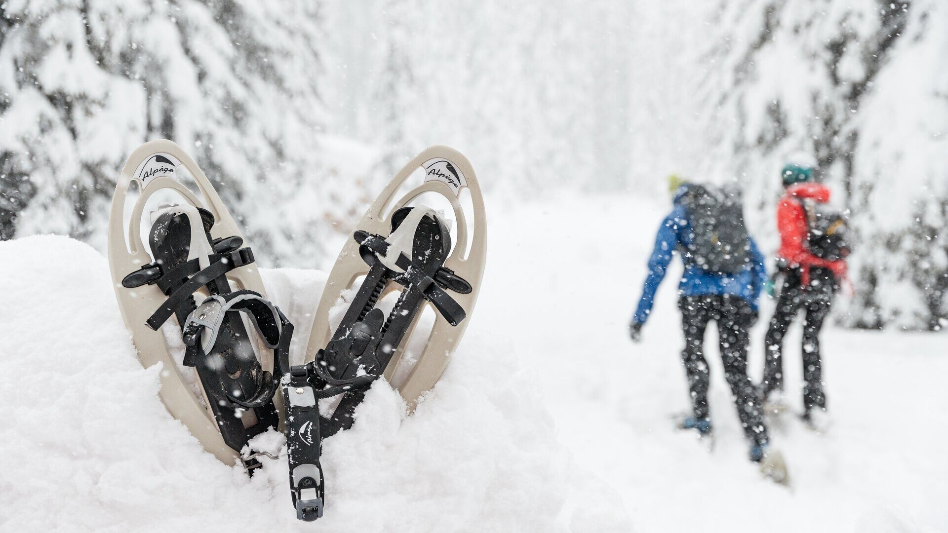 snowshow_blog_rakiety_sniezne_1