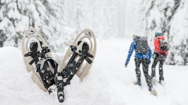 snowshow_blog_rakiety_sniezne_1