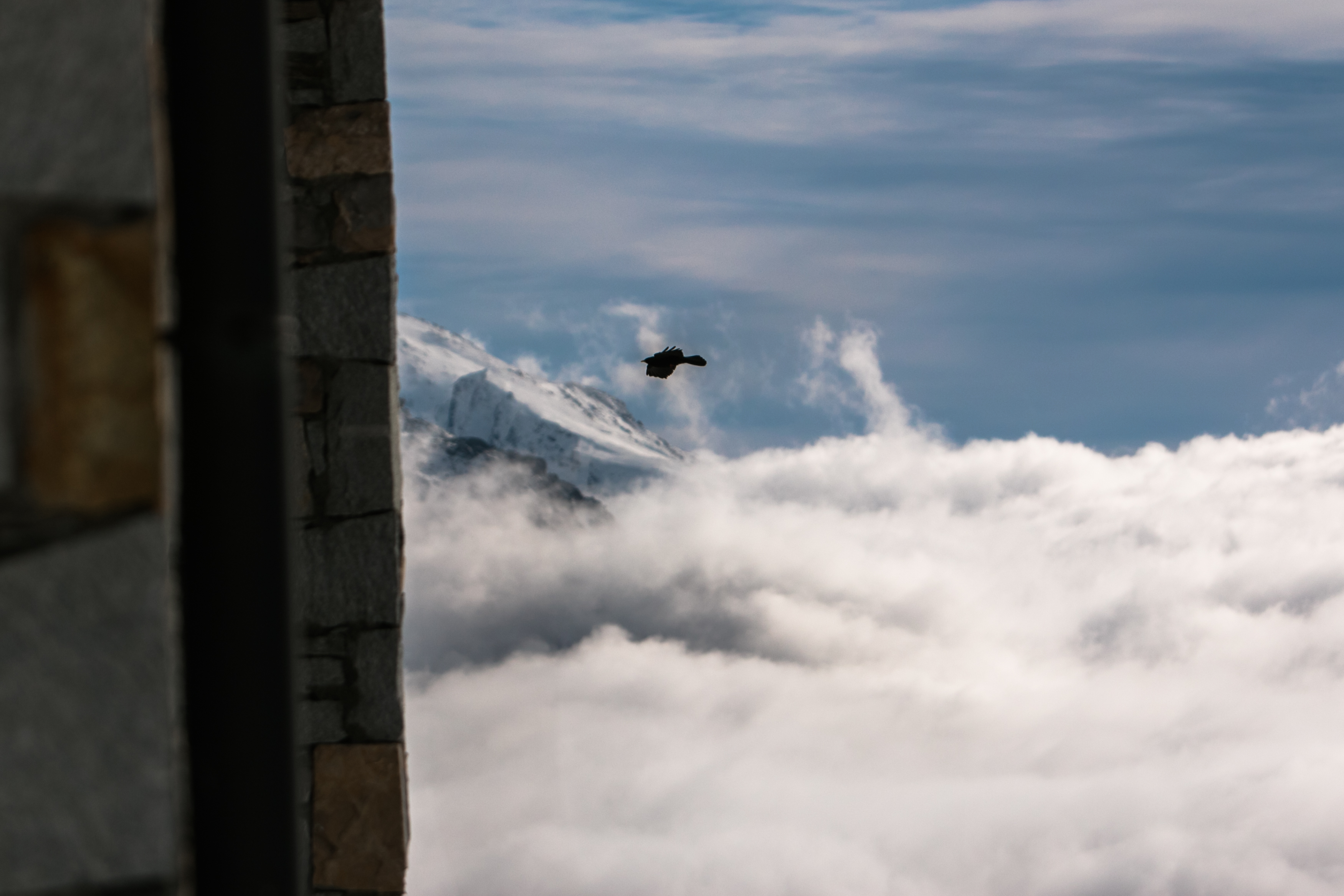 17.03.2023 - La Rosiere