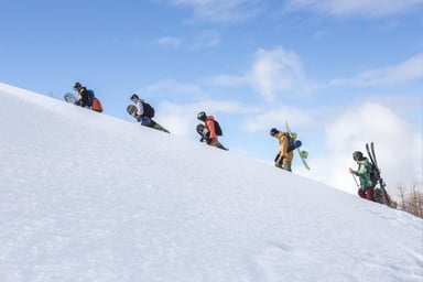verbier
